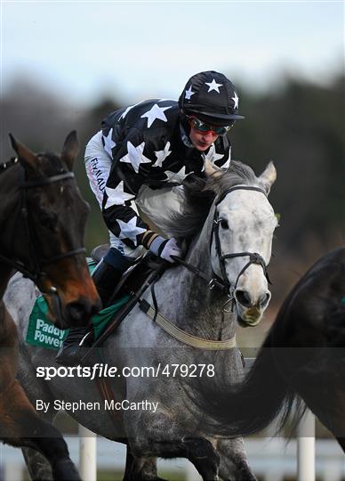 Leopardstown Christmas Racing Festival 2010 - Wednesday 29th December