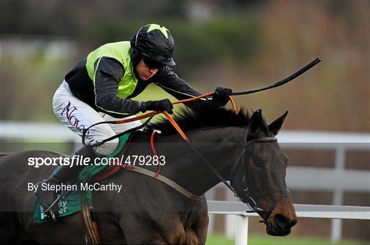 Leopardstown Christmas Racing Festival 2010 - Wednesday 29th December