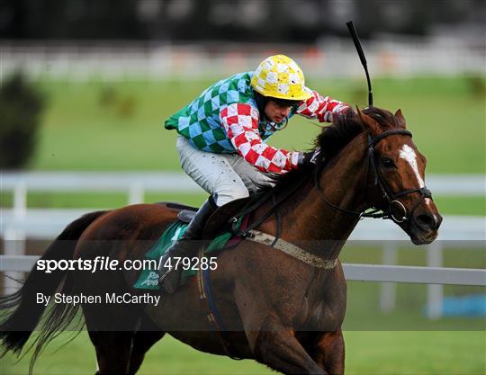 Leopardstown Christmas Racing Festival 2010 - Wednesday 29th December