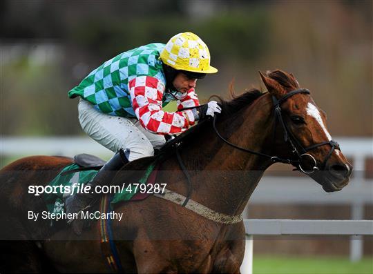 Leopardstown Christmas Racing Festival 2010 - Wednesday 29th December