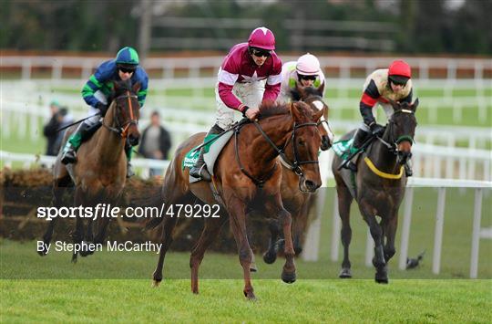 Leopardstown Christmas Racing Festival 2010 - Wednesday 29th December