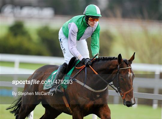 Leopardstown Christmas Racing Festival 2010 - Wednesday 29th December