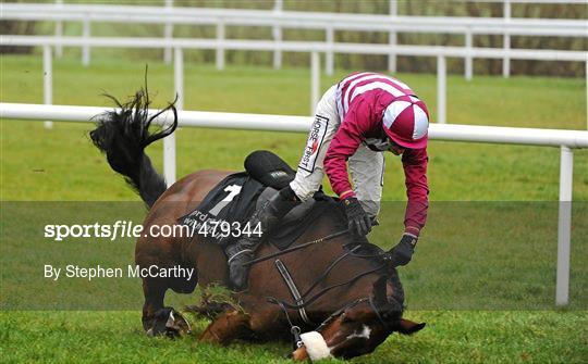 Leopardstown Christmas Racing Festival 2010 - Thursday 30th December