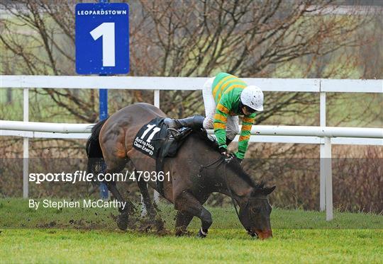 Leopardstown Christmas Racing Festival 2010 - Thursday 30th December