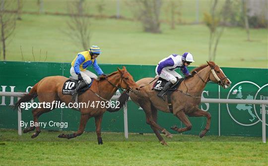 Leopardstown Christmas Racing Festival 2010 - Thursday 30th December