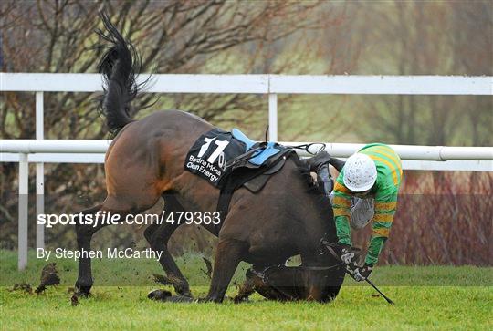 Leopardstown Christmas Racing Festival 2010 - Thursday 30th December