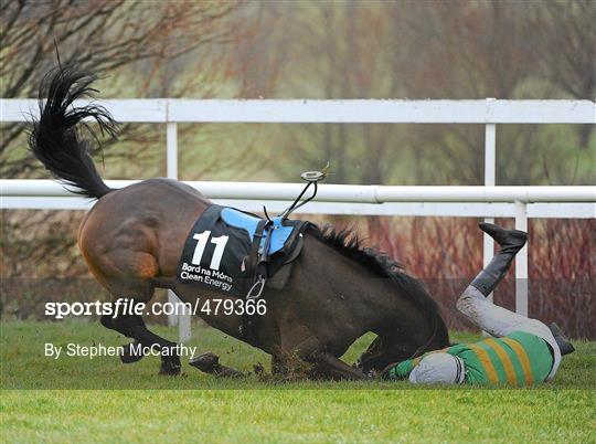 Leopardstown Christmas Racing Festival 2010 - Thursday 30th December