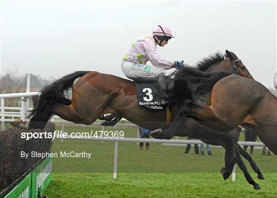 Leopardstown Christmas Racing Festival 2010 - Thursday 30th December