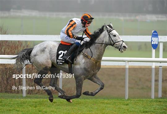 Leopardstown Christmas Racing Festival 2010 - Thursday 30th December