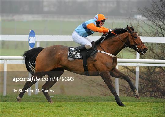 Leopardstown Christmas Racing Festival 2010 - Thursday 30th December