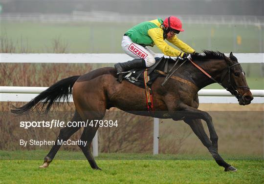 Leopardstown Christmas Racing Festival 2010 - Thursday 30th December