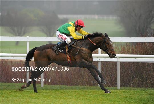 Leopardstown Christmas Racing Festival 2010 - Thursday 30th December