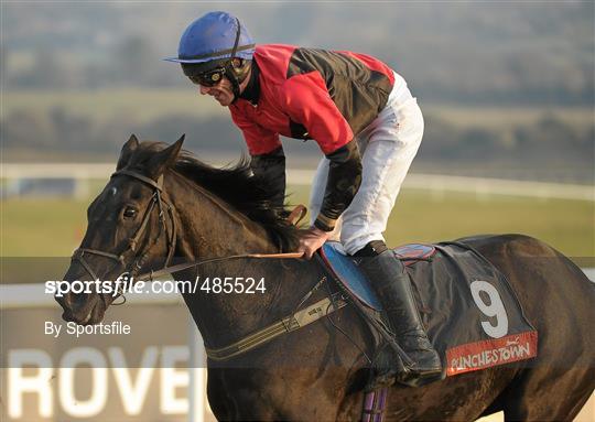 Horse Racing from Punchestown Racecourse - Sunday 30th January