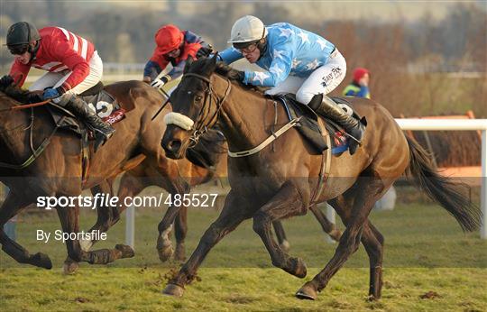 Horse Racing from Punchestown Racecourse - Sunday 30th January