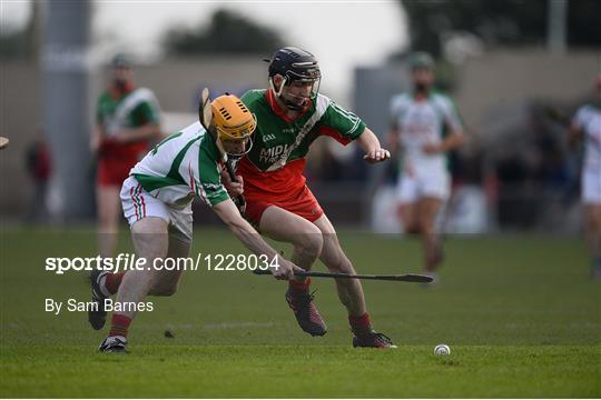 Borris in Ossory Kilcotton v Rathdowney Errill - Laois County Senior Hurling Championship Final