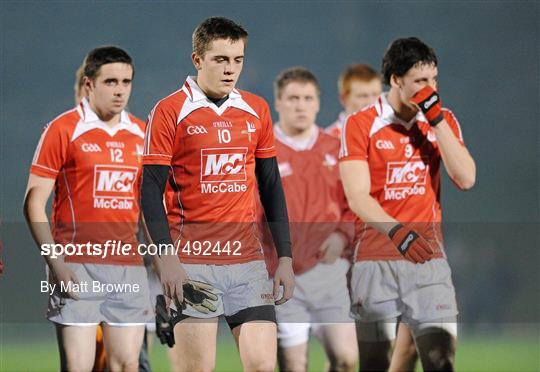 Wexford v Louth - Cadbury Leinster Under 21 Football Quarter-Final