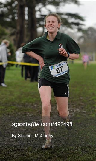 Aviva Leinster Schools Cross Country