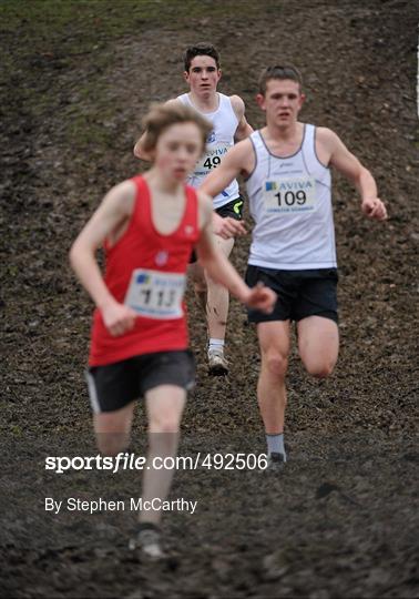 Aviva Leinster Schools Cross Country