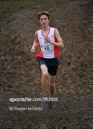 Aviva Leinster Schools Cross Country