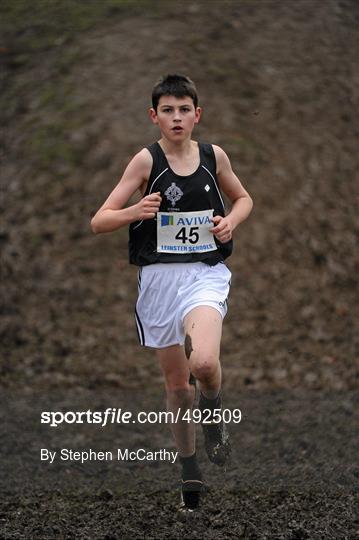 Aviva Leinster Schools Cross Country