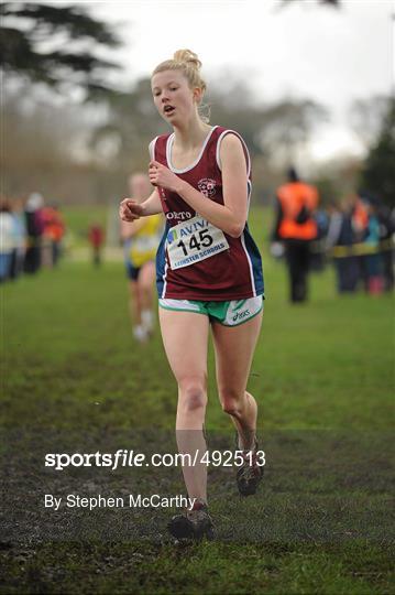 Aviva Leinster Schools Cross Country