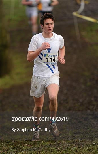 Aviva Leinster Schools Cross Country