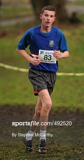 Aviva Leinster Schools Cross Country