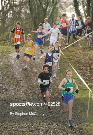 Aviva Leinster Schools Cross Country