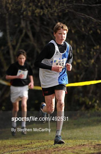 Aviva Leinster Schools Cross Country