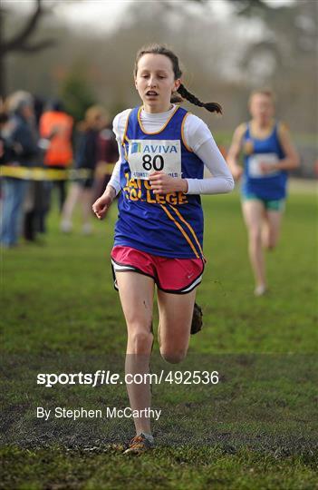 Aviva Leinster Schools Cross Country