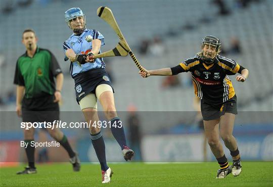 Dublin v Kilkenny - Irish Daily Star Camogie League Division 1 Group 2