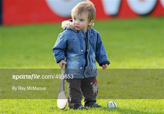 Dublin v Kilkenny - Walsh Cup Final