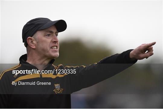 Clonlara v Ballyea - Clare County Senior Club Hurling Championship Final