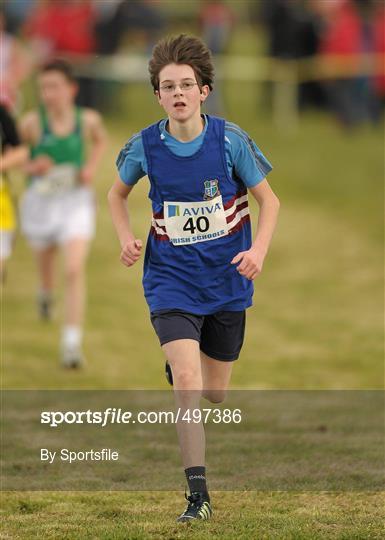 AVIVA All-Ireland Schools Cross Country Championships 2011