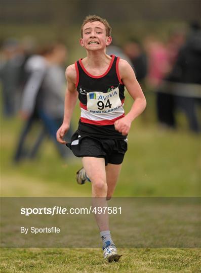 dublin high school cross country