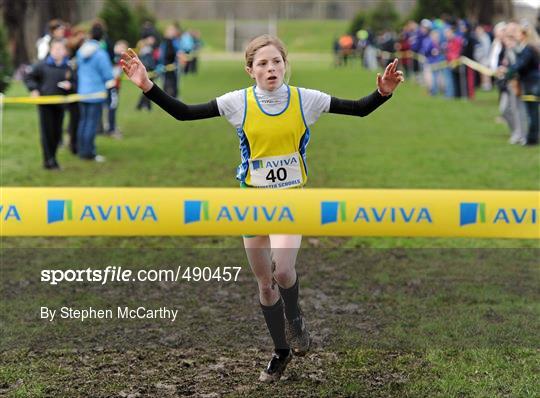 Aviva Leinster Schools Cross Country