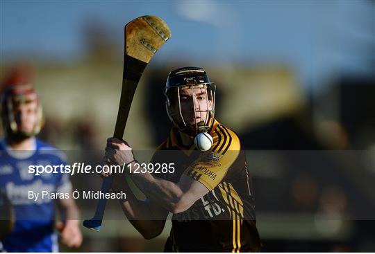 Ballyea v Thurles Sarsfields - AIB Munster GAA Hurling Senior Club Championship semi-final