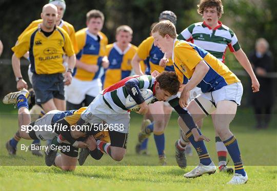 CBS Naas v St. Columba's - Senior Shield Section 'A' Final