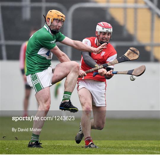 St. Mullins v Cuala - AIB Leinster GAA Hurling Senior Club Championship semi-final