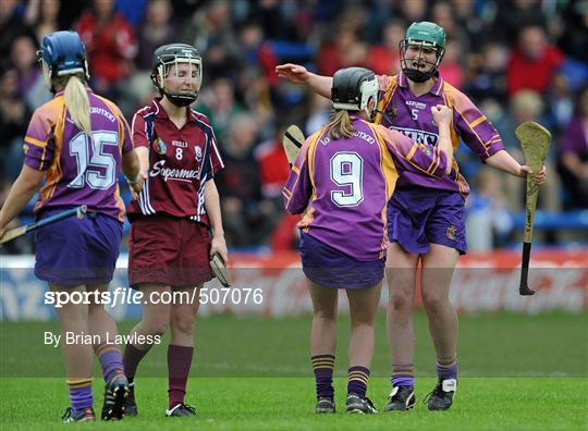 Galway v Wexford - Irish Daily Star Camogie League Division 1 Final