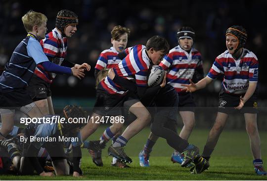 Bank of Ireland Minis at Leinster v Newport Gwent Dragons - Guinness PRO12 Round 10