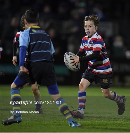 Bank of Ireland Minis at Leinster v Newport Gwent Dragons - Guinness PRO12 Round 10