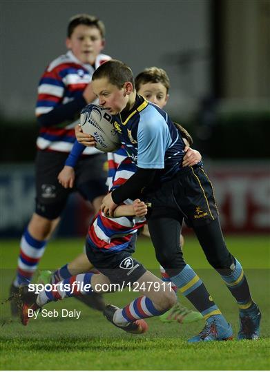 Bank of Ireland Minis at Leinster v Newport Gwent Dragons - Guinness PRO12 Round 10