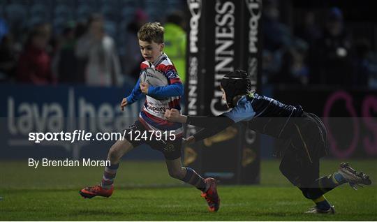 Bank of Ireland Minis at Leinster v Newport Gwent Dragons - Guinness PRO12 Round 10