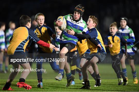 Bank of Ireland Minis at Leinster v Newport Gwent Dragons - Guinness PRO12 Round 10