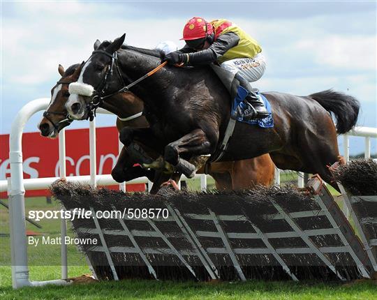 Fairyhouse Easter Festival - Sunday 24th April 2011