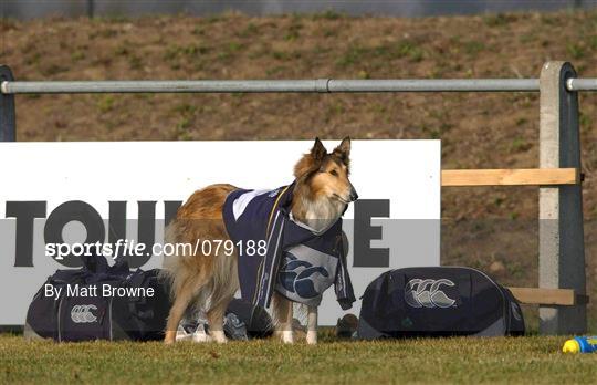 Leinster Rugby Training Session