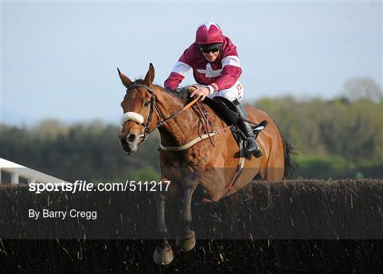 Punchestown Irish National Hunt Festival 2011 - Tuesday 3rd May