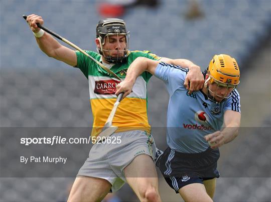 Dublin v Offaly - Leinster GAA Hurling Senior Championship Quarter-Final