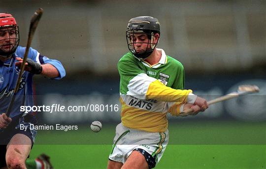 Dublin v Offaly - Walsh Cup Quarter Final